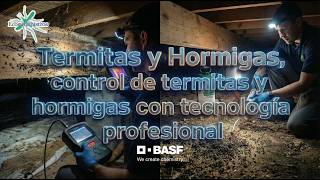 Webinar Control de termitas y hormigas con tecnología profesional
