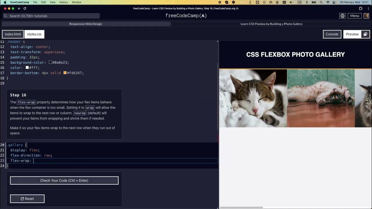 Learn CSS Flexbox by Building a Photo Gallery - Step 16 #freecodecamp # ...