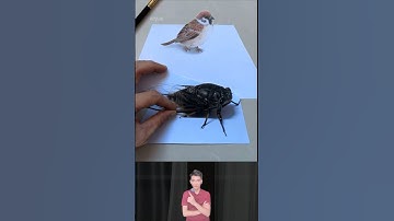 Nghệ thuật vẽ tranh 3d động vật sống động như thật