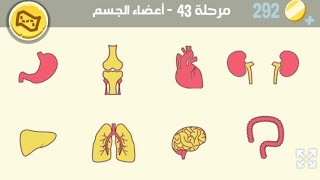 كلمات كراش مرحلة 43