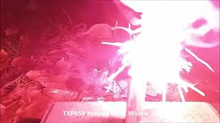 TXP859 Pyrotechnika Petardy Black Widow 20ks | Colosus
