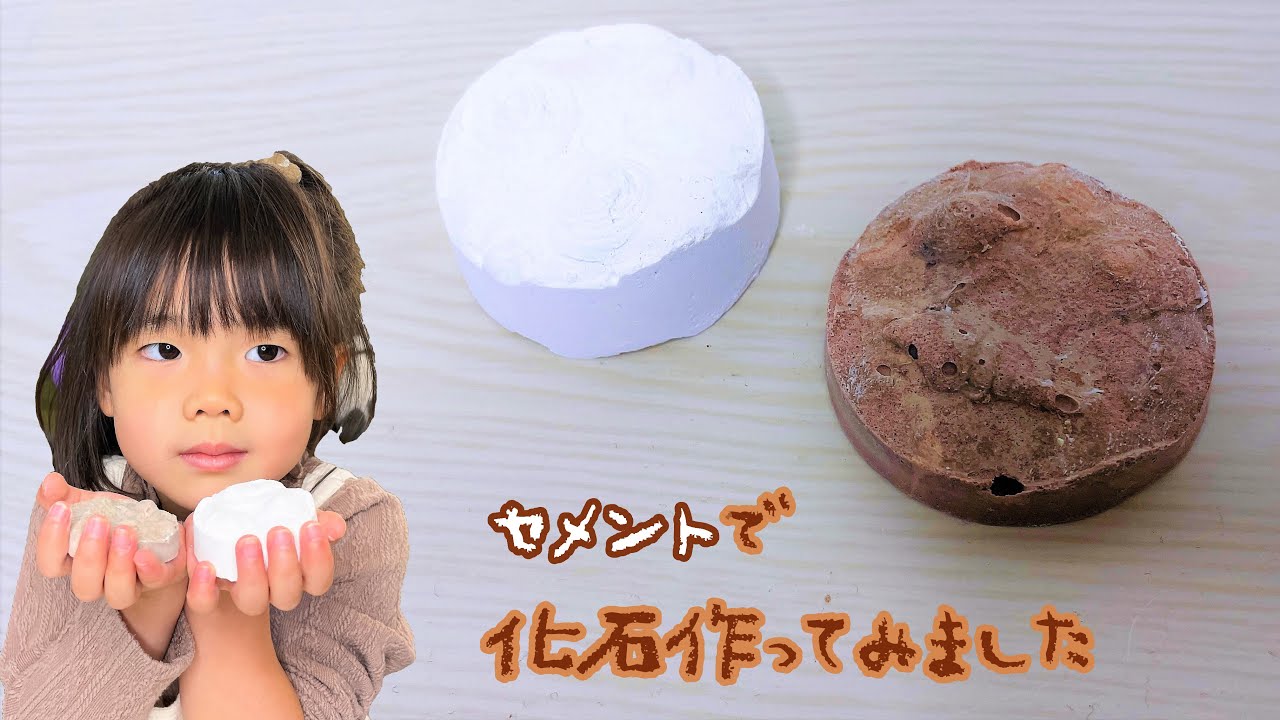 【簡単工作】セメント化石の作り方【100均DIY】 YouTube