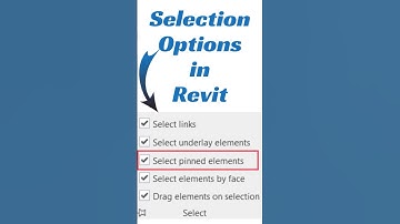 Selection options in Revit #shorts #revit #architecture #tutorial