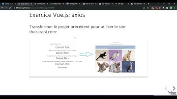 Vue.js - données API avec axios