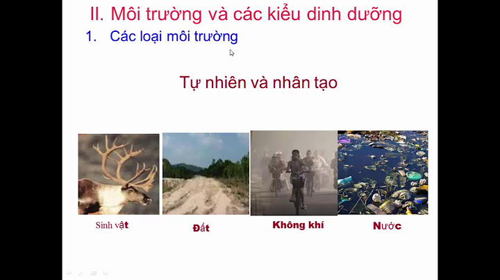 Các con đường chuyển hóa của vi sinh vật năm 2024