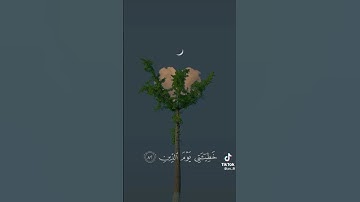وَإِذَا مَرِضْتُ فَهُوَ يَشْفِيْنِ/ سورة الشعراء / القارئ عبدالله الموسى