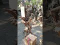 Fosil Kleresede, dikirim ke Jakarta, media tempel anggrek paling kuat & seni..
