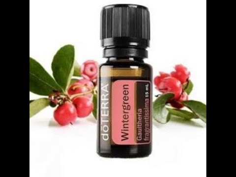 Video: Wintergreen Một Mặt