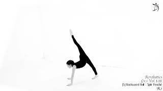 Acrobatic Artistry: Sample Video