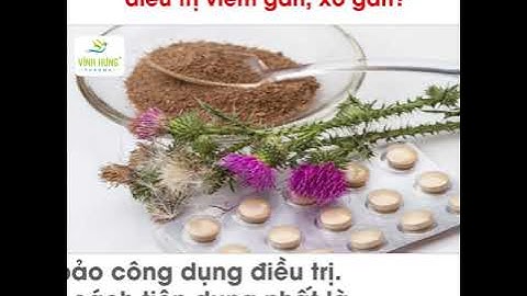 KẾ SỮA GIẢI ĐỘC GAN, ĐIỀU TRỊ CÁC BỆNH VỀ GAN - Được 1/3 dân số Mỹ trưởng thành dùng mỗi năm