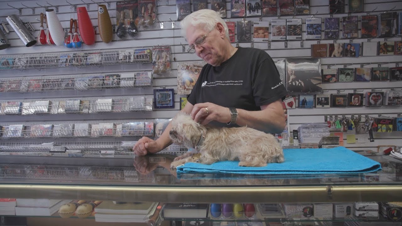 Legendary music shop Casa Latina keeps the beat alive in New York’s Spanish Harlem