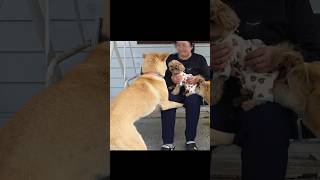 장미가 이상해요