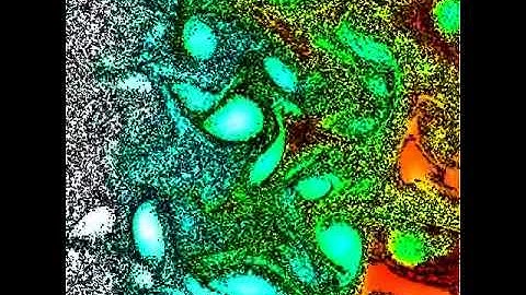 DNS-2002-droplet-mixing-turbulence-dr-cecile-pera