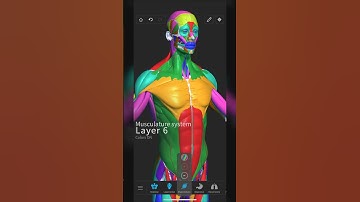 Visual Anatomy 3D - update