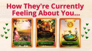 💋HOW DO THEY FEEL ABOUT YOU NOW? 😍PICK A CARD 😘 LOVE TAROT READING 🌺 TWIN FLAMES 👫 SOULMATES