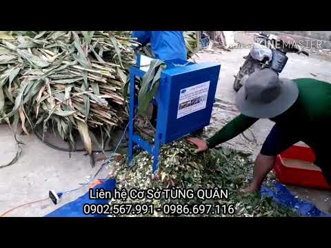 Video Đã có chiếc máy 1.5hp băm cỏ voi và cây bắp siêu... - youtube