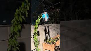 Wind chime with solar lighting