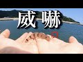 魚にキレられた。