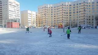 Дворовый хоккей 24.02.2018