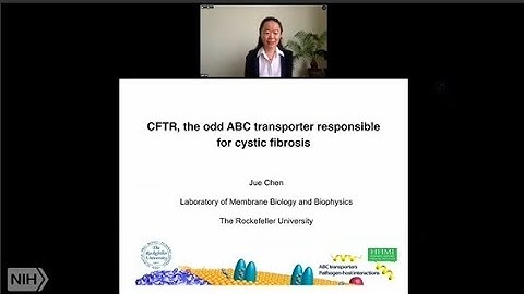CFTR, the Odd ABC Transporter Responsible for Cystic Fibrosis