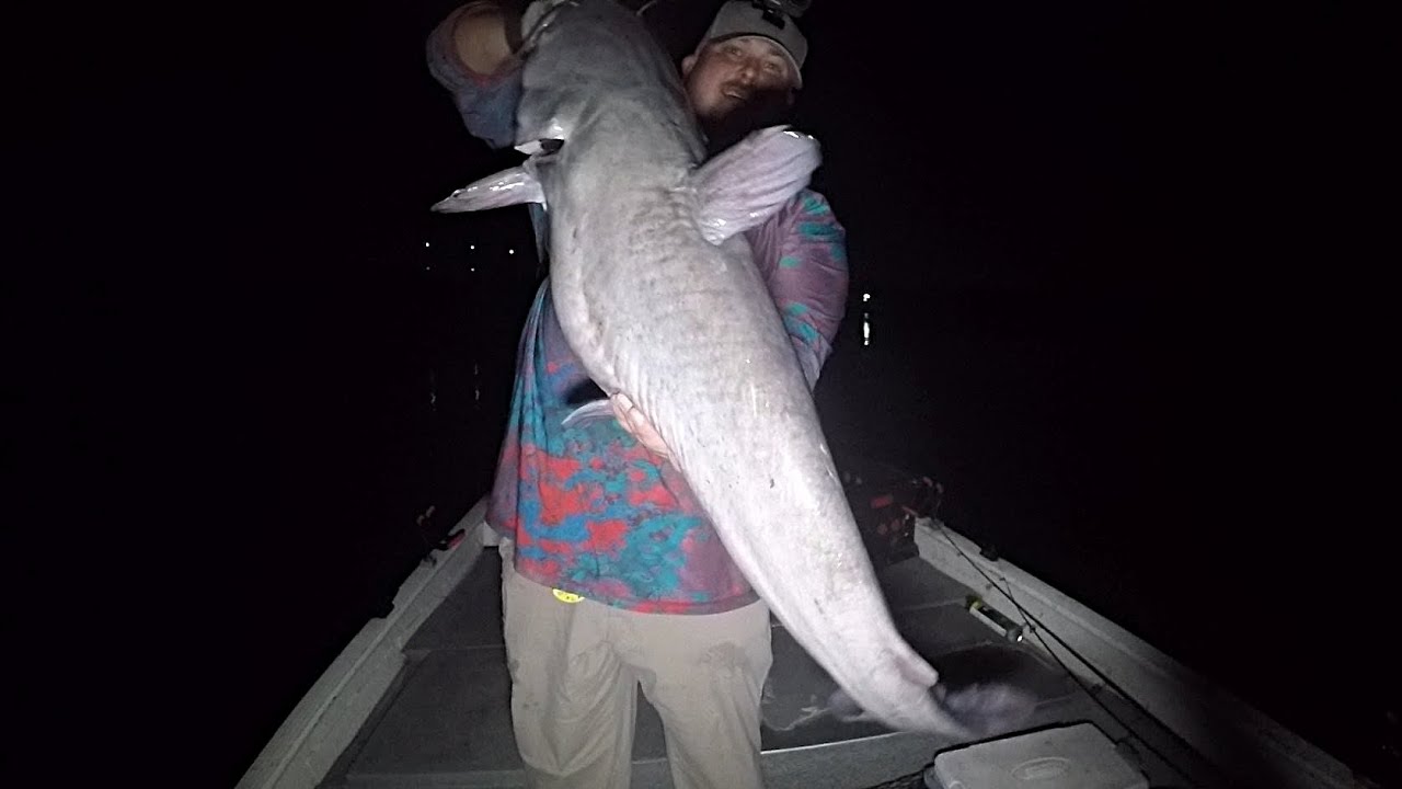 The BIG Blues Were Biting! Catching Blue Catfish Late At Night (Ft