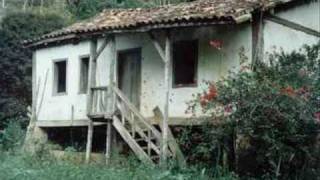 ronaldo viola e joão carvalho - faltava alguem