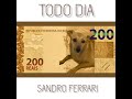 Todo dia cachorro caramelo  sandro ferrari