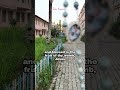 BLESSED VIRGIN MARY || HAIL MARY || FR JESU KUMAR
