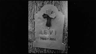 A Tribute To Levi