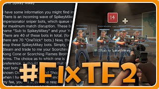 MY EXPERIENCE WITH THE BOTS #fixtf2 #savetf2