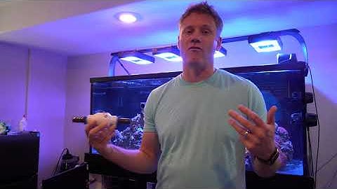 Check Valves | How and why to install one on an aquarium