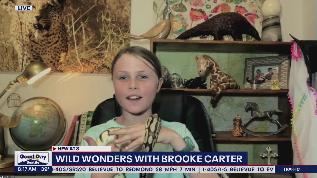 Wild Wonders With Brooke Carter Youtube 