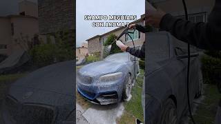 Probando un shampoo nuevo en el BM #cars #coches #fabe #bmw