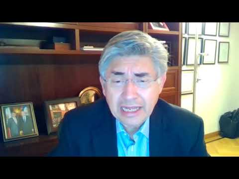 Aportes en el acceso a las decisiones de la CIDH en el sistema de peticiones y casos.