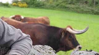 Parque Natural de Alvão - breve viagem