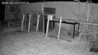 WEIRD ORB IN BACKYARD help