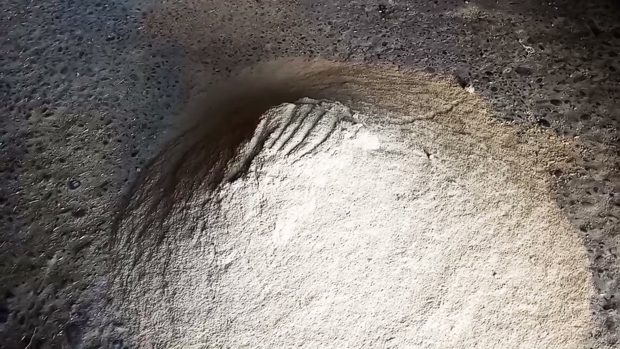 هذه هي التخليطة ديال العلف لي كنبداو بيها مع الحولي ديال العيد و لانوك