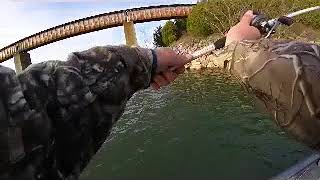 TELLICO LAKE