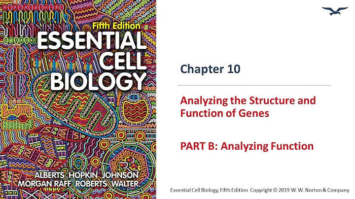 Exploring Gene Function