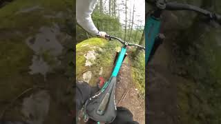 Finding on flow on a double black diamond trail! @gopro #gopromax #squamish #fyp #mtb