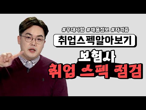   스펙첨삭 보험사 취업스펙점검