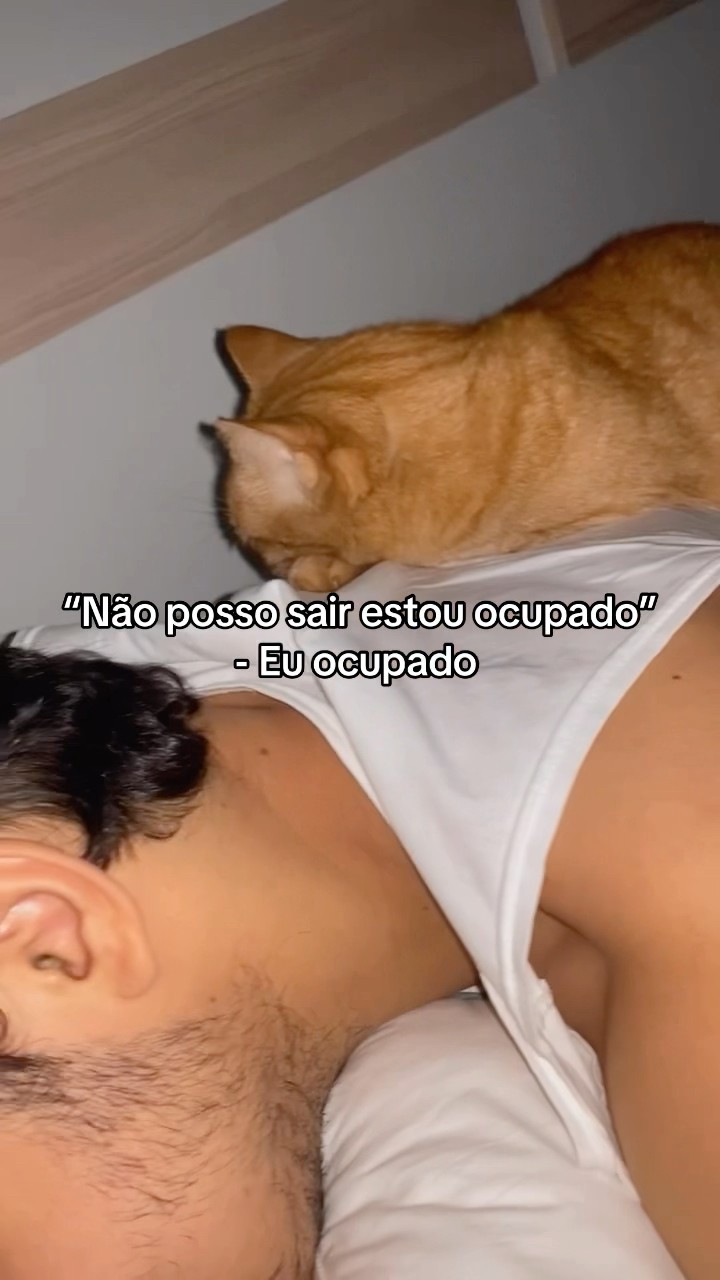 A GATINHA DORMINDO EM CIMA DE MIM #shorts