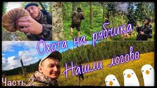 Охота на рябчика в Тверской области! Нашли логово боровой дичи. Лесной «офф-роуд» и «тихая охота».