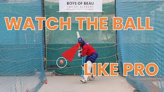 How to watch the Ball Like Pro While Batting | Boys of Beau Cricket Academy | Beaulet Julin