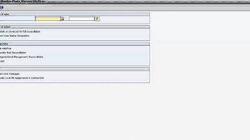 18 SAP Profile Reconciliation PFUD