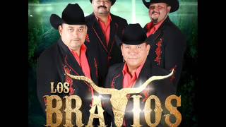 Video thumbnail of "LOS BRAVIOS DEL NORTE  COMAL Y METATE"
