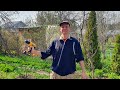 A Busy Day At Dacha With Our New Dog Russian Village 2025 A Busy Day At Dacha With Our New Dog Russian Village 2025