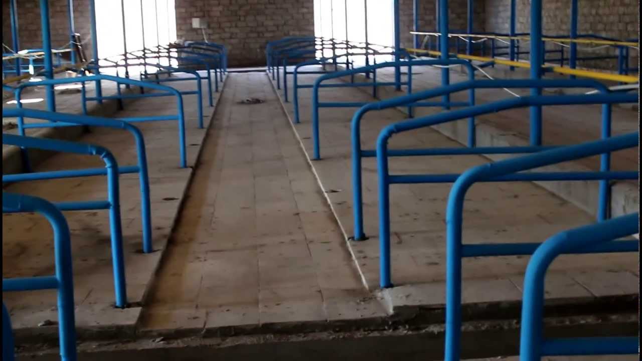Грант на разведение крс Грант на разведение крс