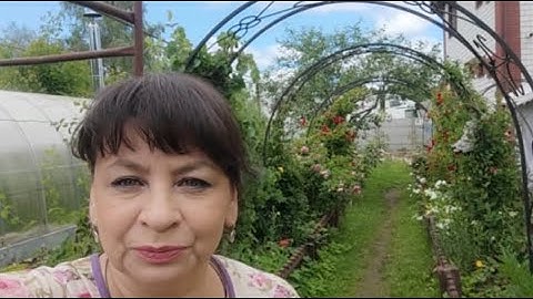 Мои идеи по обустройству участка. Отвечаю на вопросы. Как сделать арки. Про черенки роз.