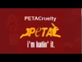 Petacruelty ad new v1